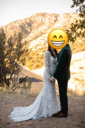 fabulous wedding dress