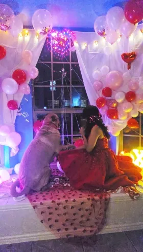 amazing dress and dog